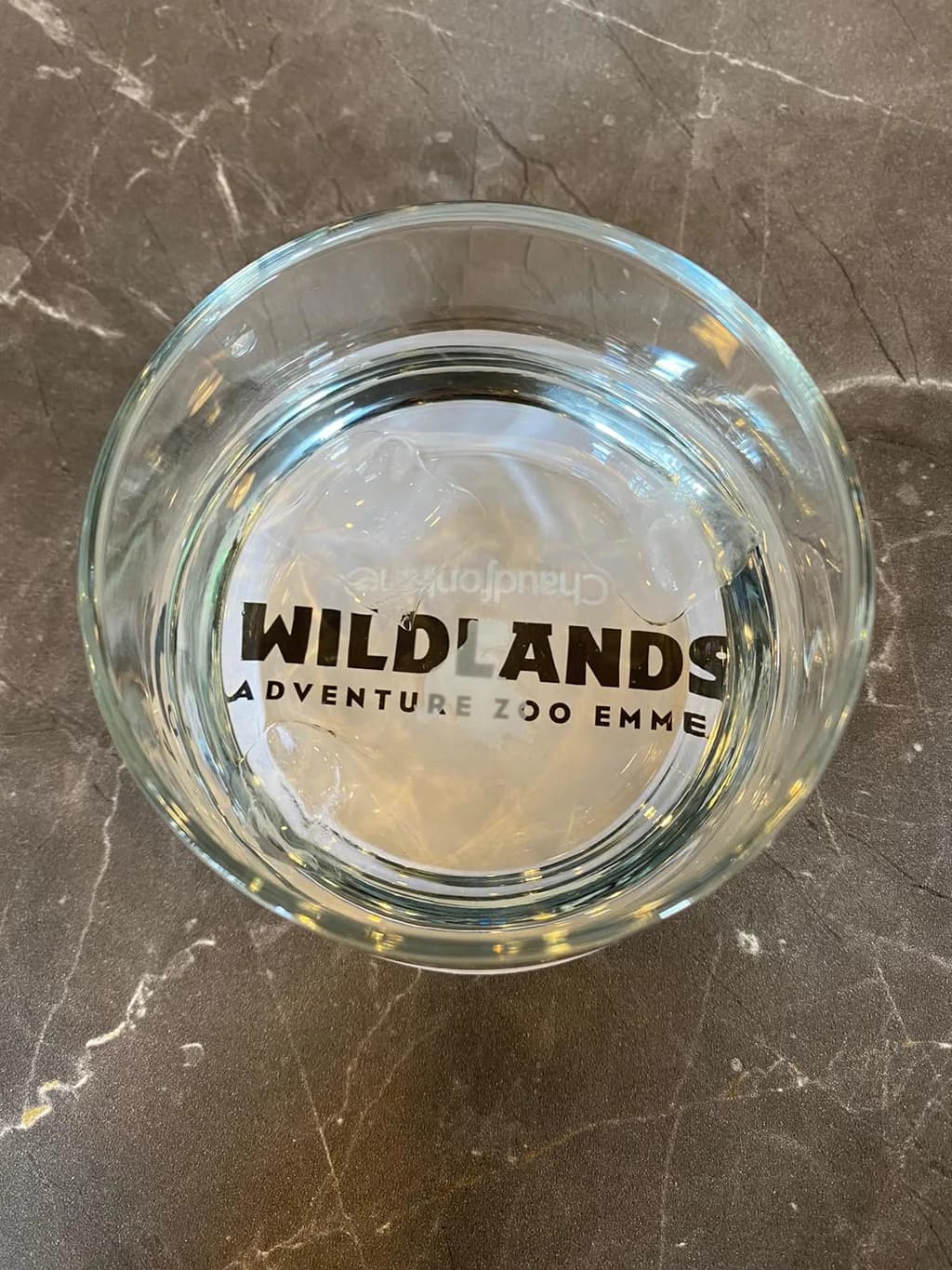 Terugblik - Bezoek Wildlands Emmen